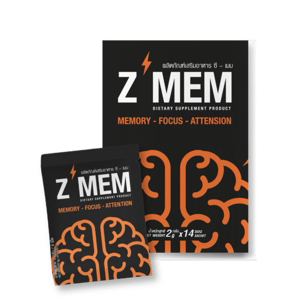 Z-MEM