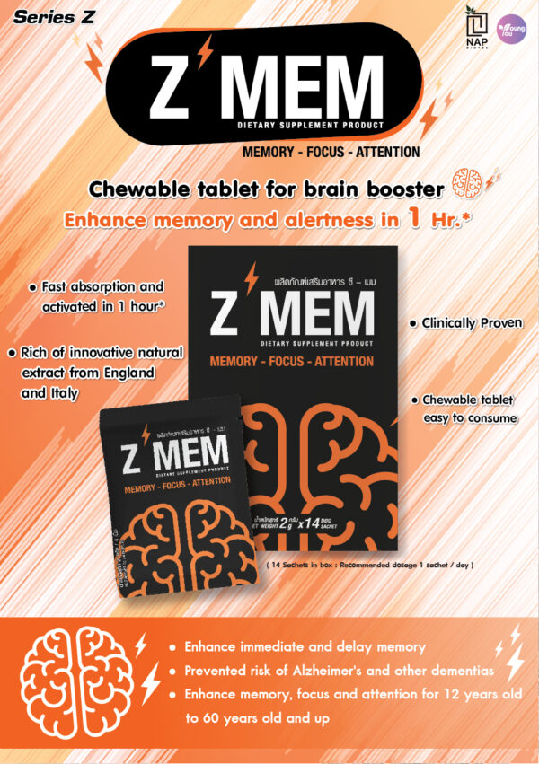 Z-MEM - Image 2
